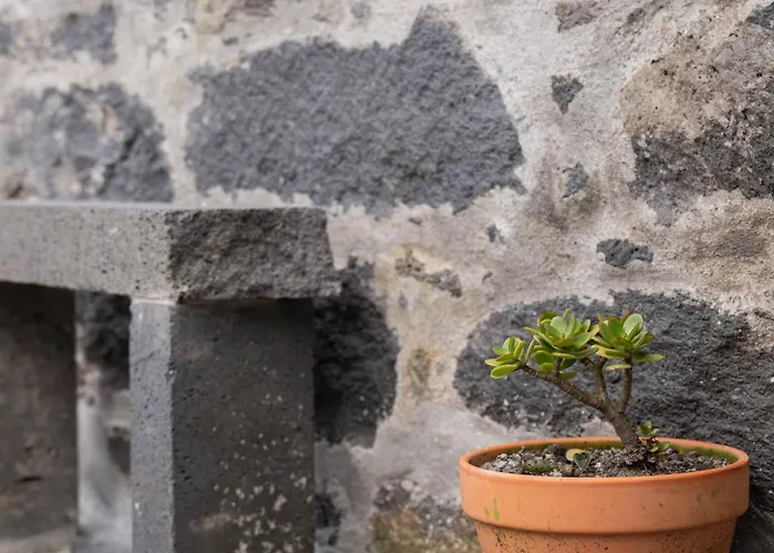 Refugio Do Sossego Pedreira (Sao Miguel)